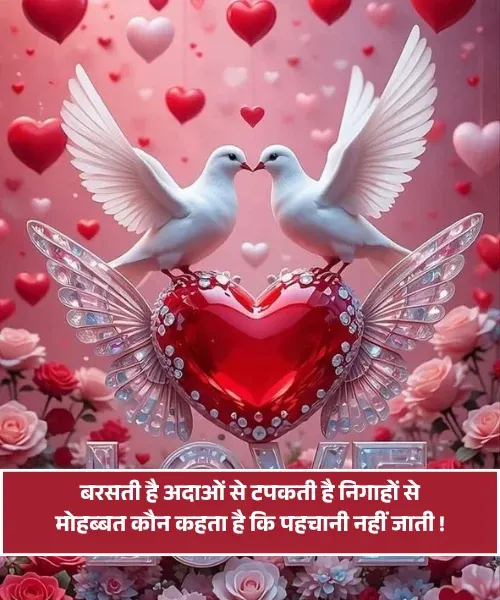 Husband True Love Romantic Shayari