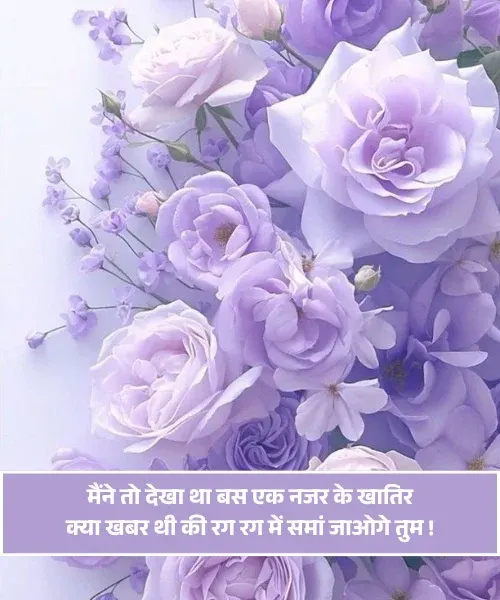 Love True Love Sorry Shayari