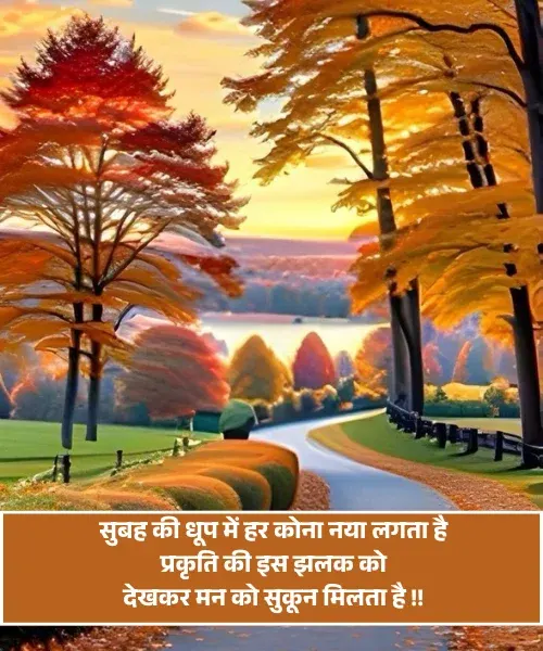 Beauty of Nature Shayari Beauty of Nature Shayari
