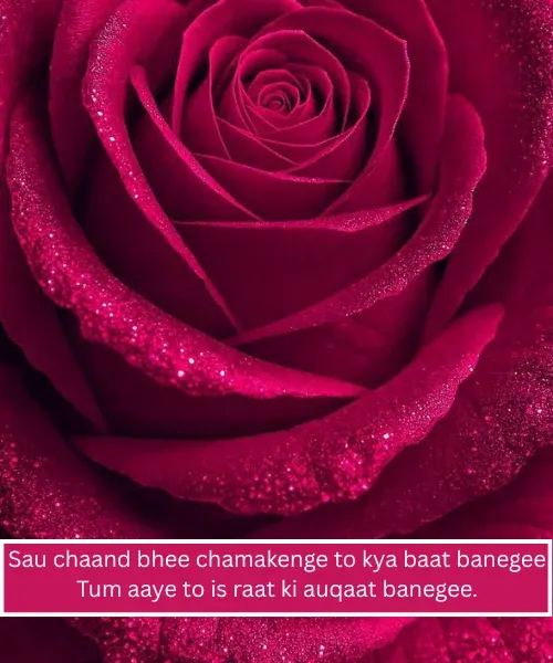 Comedy Welcome Shayari for Guest in Hindi Comedy Welcome Shayari for Guest in Hindi