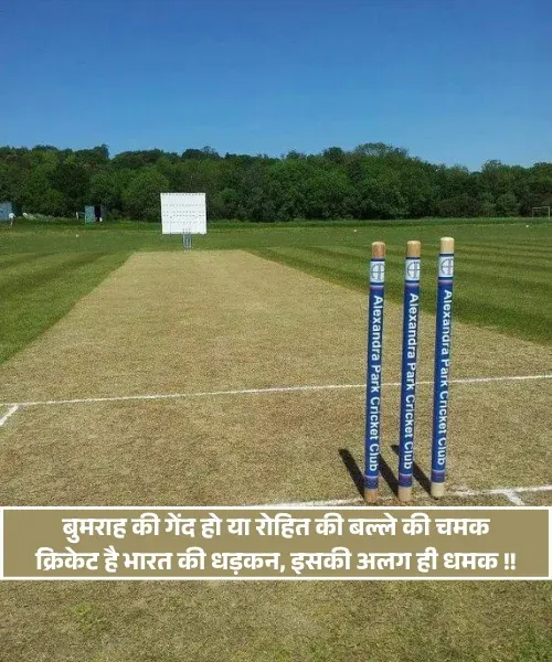 No Love Shayari Cricket Shayari