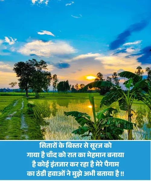 Good Morning Shayari Good Morning Shayari