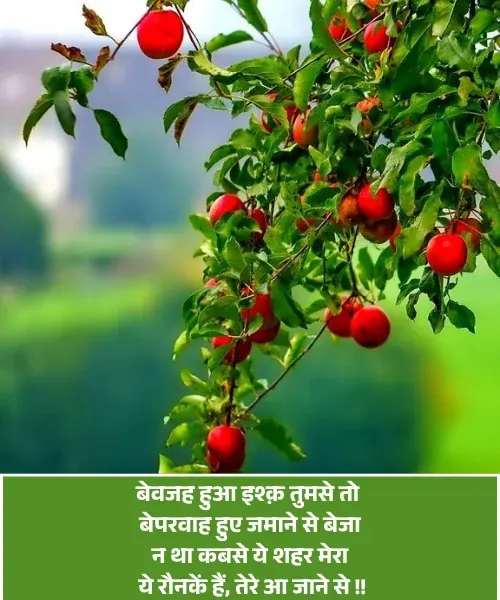Impress Shayari in Hindi Impress Shayari in Hindi