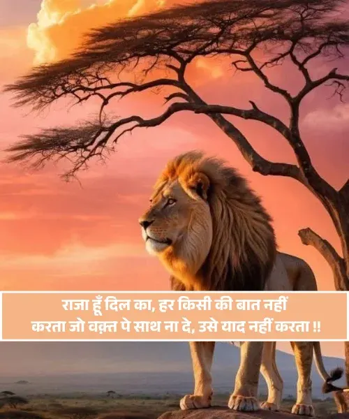 King Shayari King Shayari