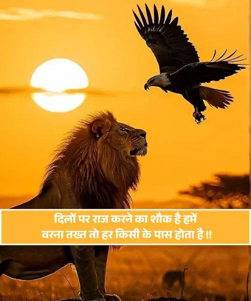 King Shayari King Shayari