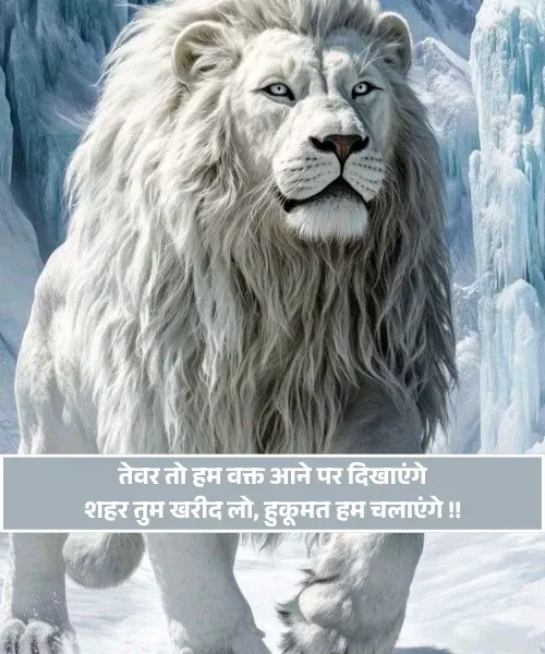 King Shayari King Shayari