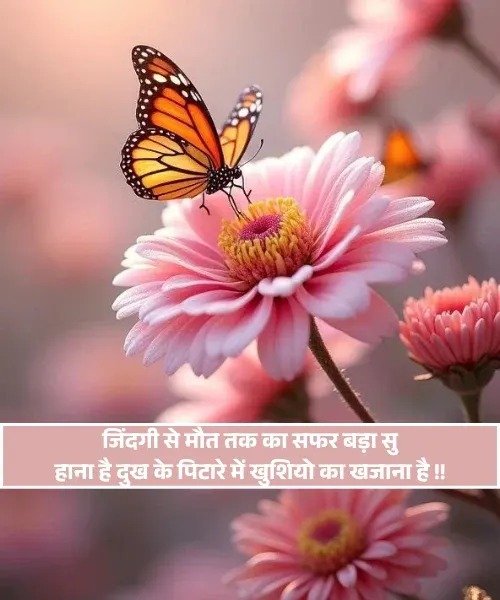 Life Happy Shayari Life Happy Shayari