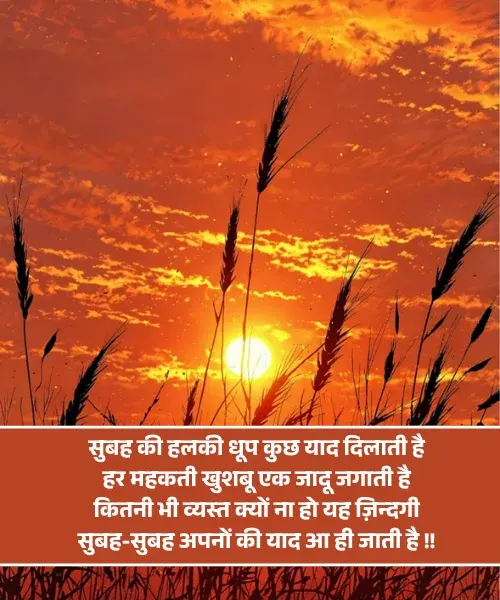 Miss You Good Morning Love Shayari Miss You Good Morning Love Shayari