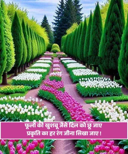 Nature Shayari Nature Shayari
