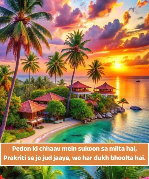 Nature Shayari in English Hindi Nature Shayari in English Hindi