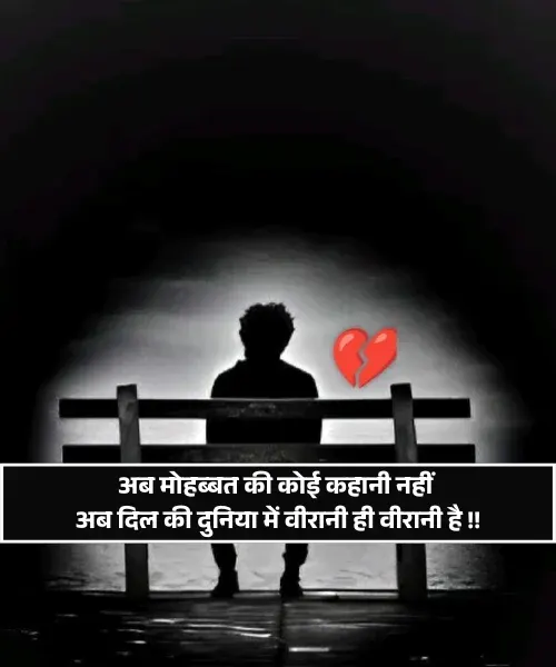 No Love Shayari No Love Shayari