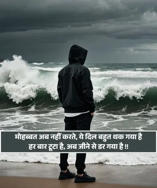 No Love Shayari No Love Shayari