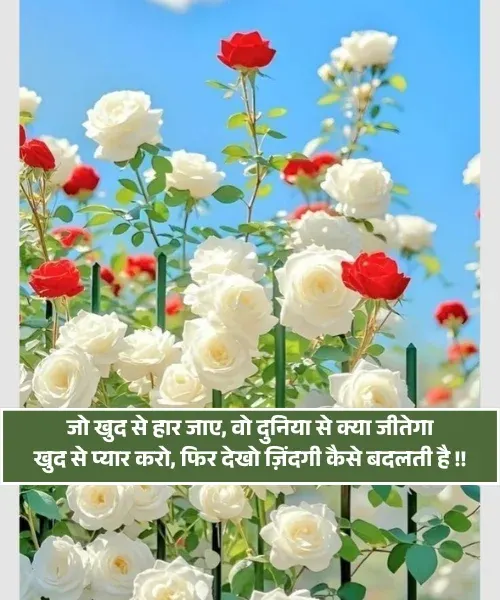 Self Love Shayari 2 Line Self Love Shayari 2 Line