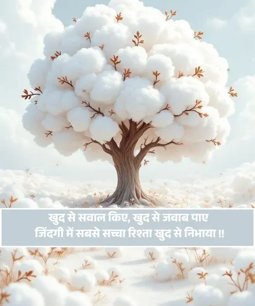 Shayari Self Love Shayari Self Love