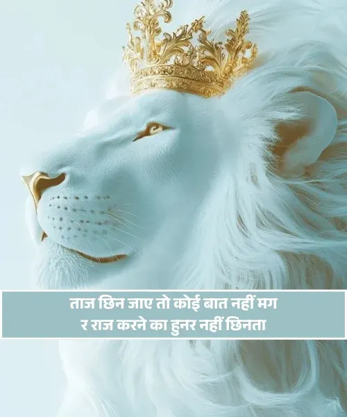 Stylish King Shayari Stylish King Shayari