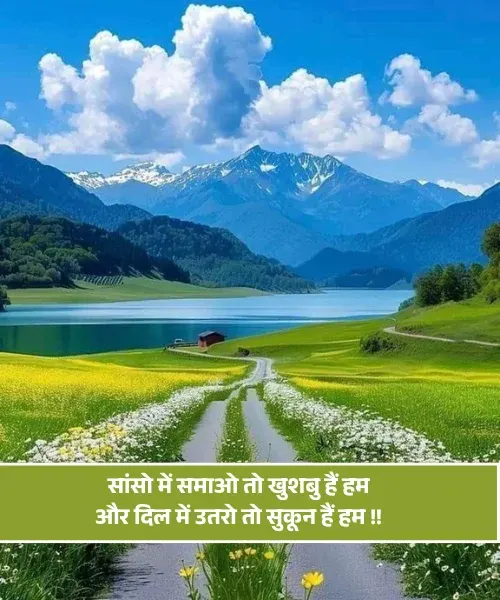 Sukoon Shayari Sukoon Shayari