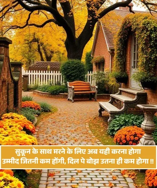 Sukoon Shayari in Hindi 2 Line Sukoon Shayari in Hindi 2 Line