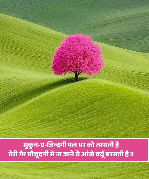 Sukoon Shayari Sukoon Shayari