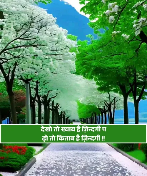 Zindagi Happy Shayari Zindagi Happy Shayari